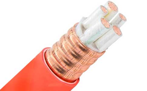 <a href='http://m.bjshj.com/kuangwuzhidianlan/' target='_blank'><u>礦物質(zhì)電纜</u></a>