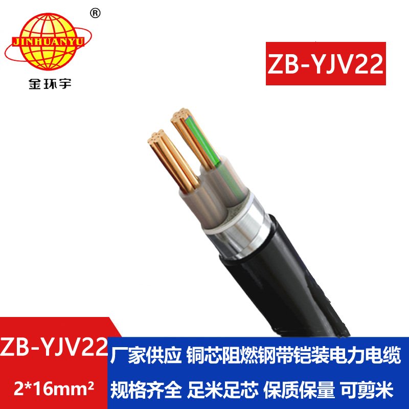 金環(huán)宇電纜 阻燃鎧裝地埋電纜ZB-YJV22-2X16平方 yjv22電纜 金環(huán)宇電纜 阻燃鎧裝地埋電纜ZB-YJV22-2X16平方 yjv22電纜