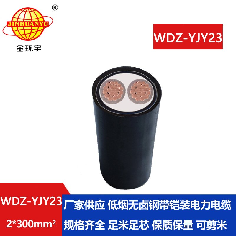 金環(huán)宇 WDZ-YJY23-2X300平方 鎧裝電力電纜 低煙無鹵電纜廠 